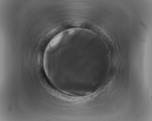 X0000112900031200909111534
