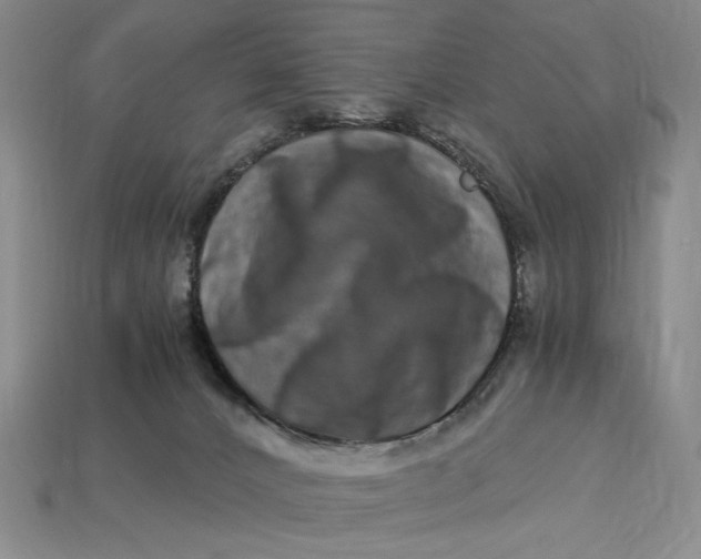 X0000112900032200909111534