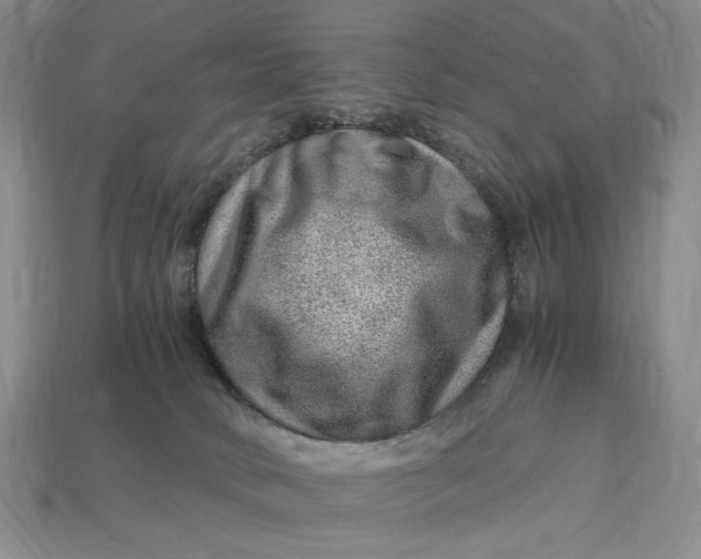 X0000112900034200909111534