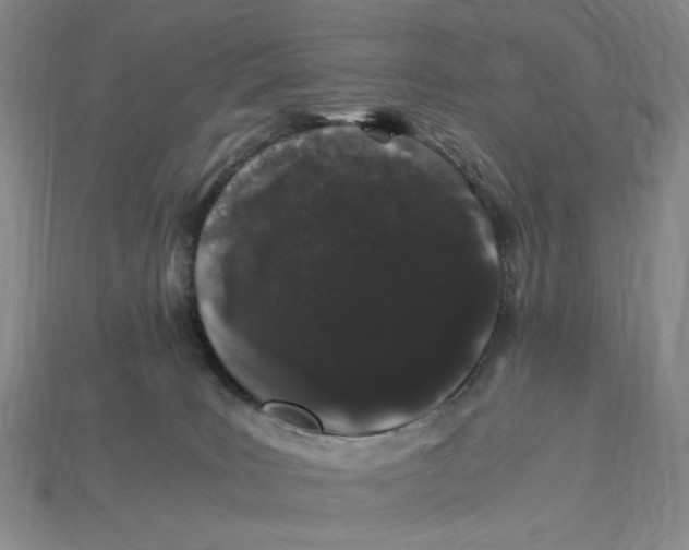 X0000112900035200909111534