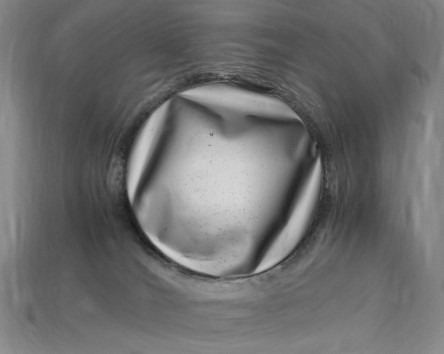 X0000112900036200909111534