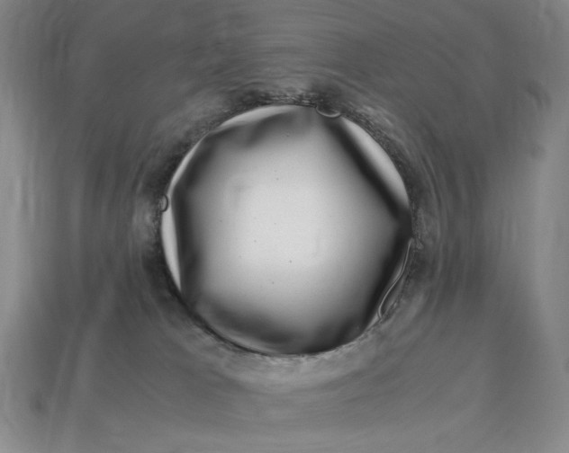 X0000112900037200909111534