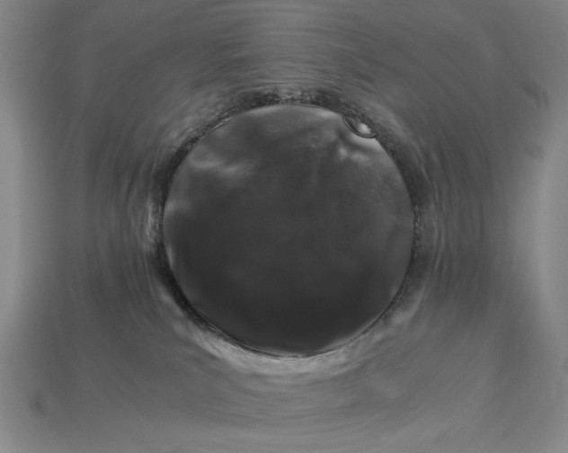 X0000112900039200909111534