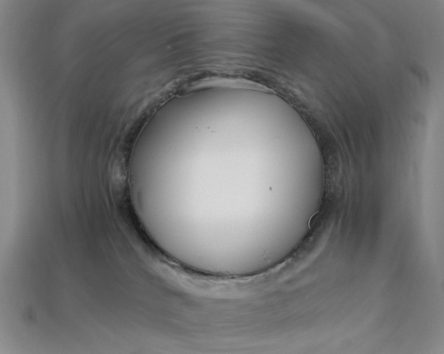 X0000112900040200909111534