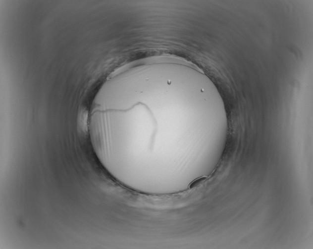 X0000112900041200909111534