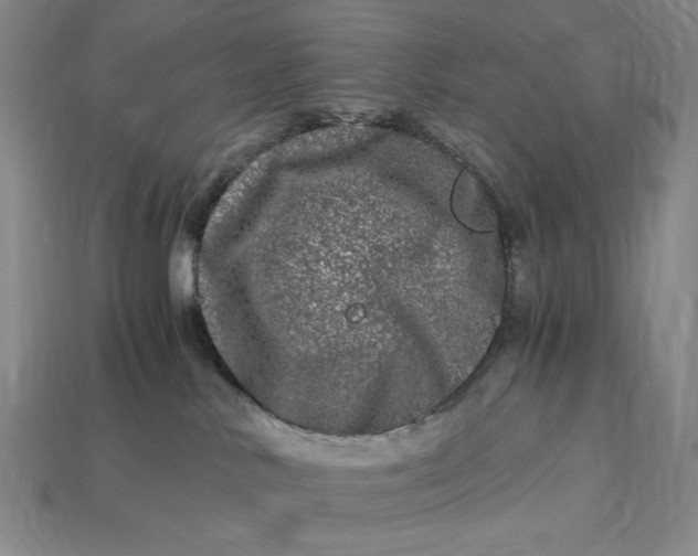 X0000112900042200909111534