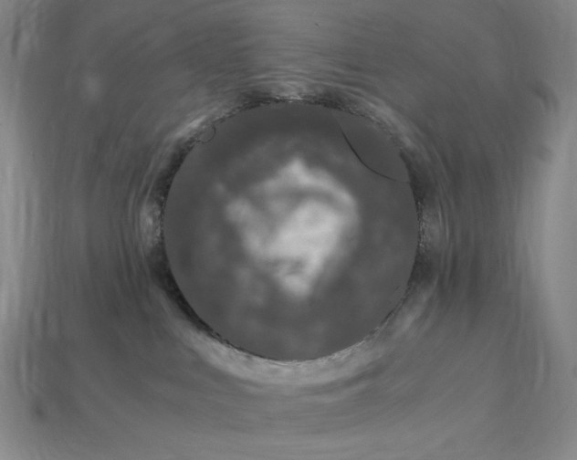 X0000112900043200909111534