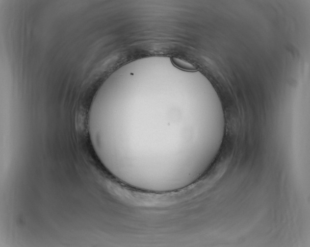 X0000112900044200909111534