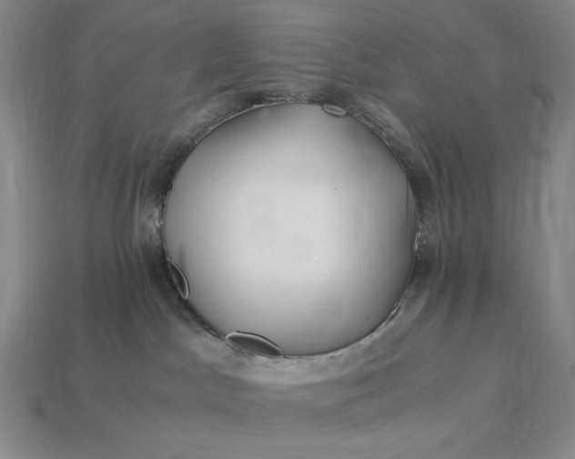 X0000112900045200909111534