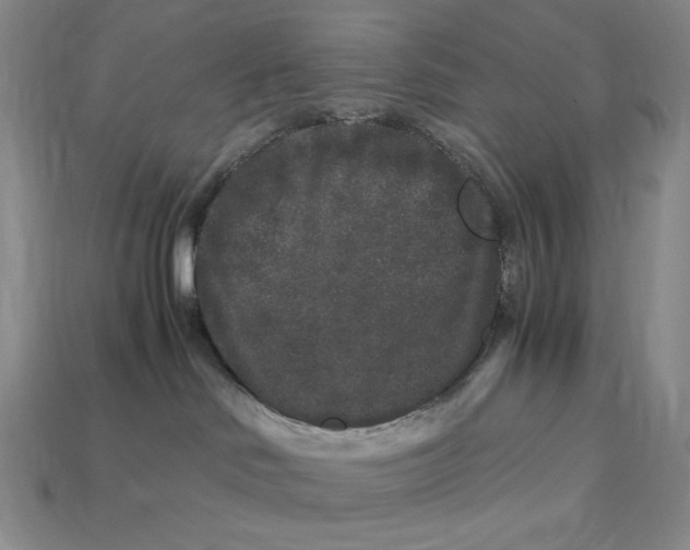 X0000112900046200909111534