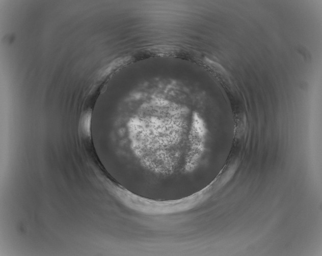 X0000112900047200909111534