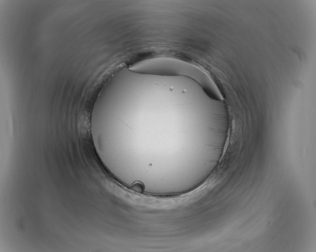 X0000112900048200909111534