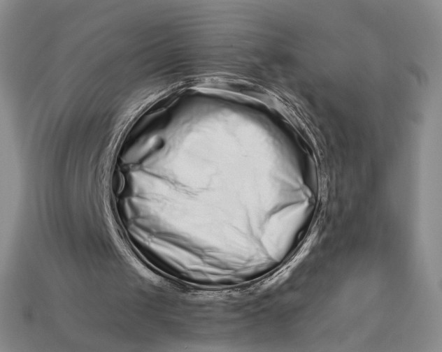 X0000112900049200909111533