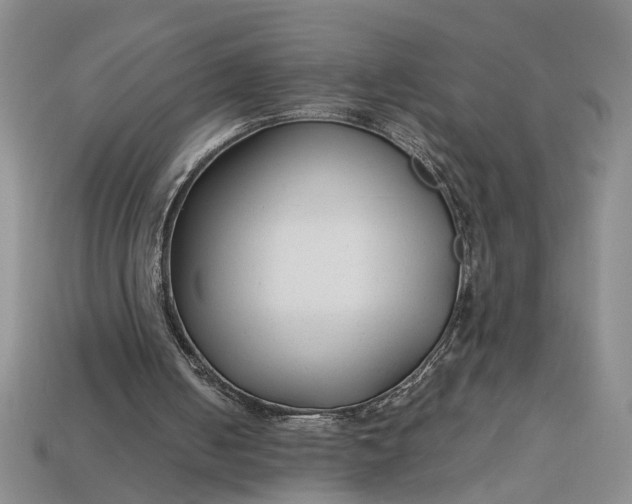 X0000112900050200909111533