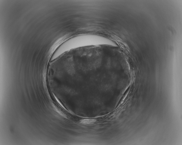 X0000112900051200909111533