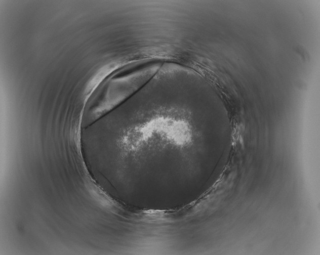 X0000112900052200909111533