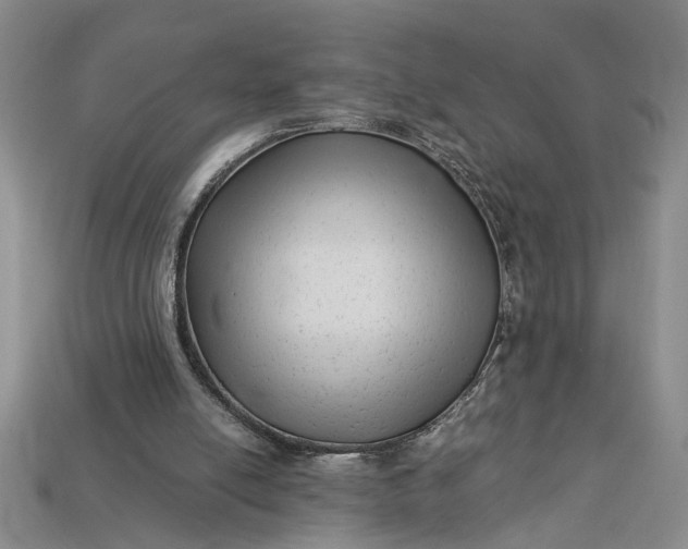X0000112900054200909111533