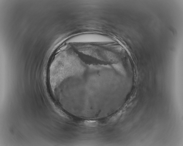 X0000112900055200909111534