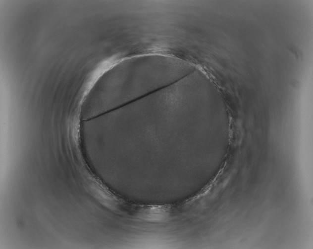 X0000112900056200909111534
