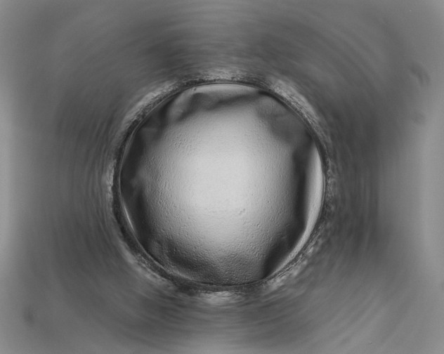 X0000112900058200909111534
