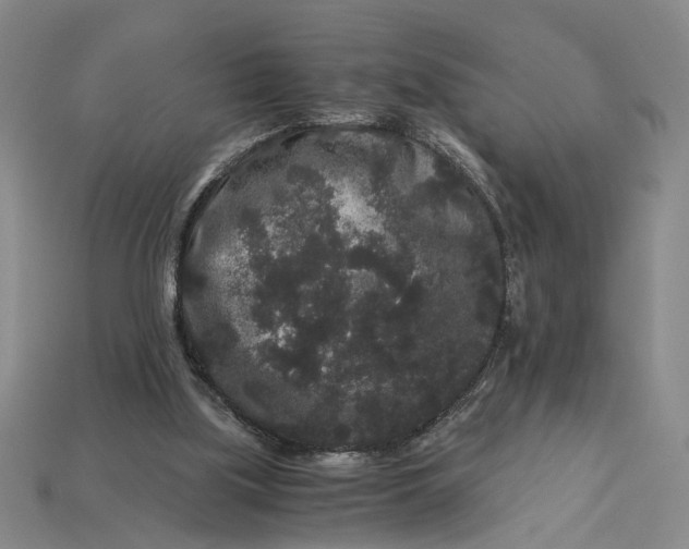 X0000112900059200909111534