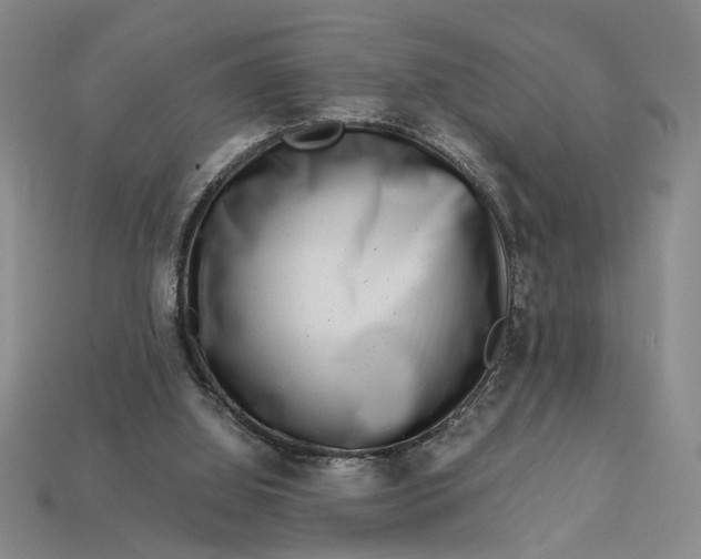 X0000112900060200909111534