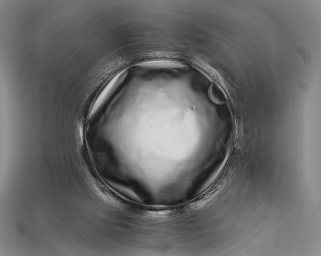 X0000112900061200909111534
