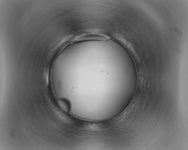 X0000112900062200909111534