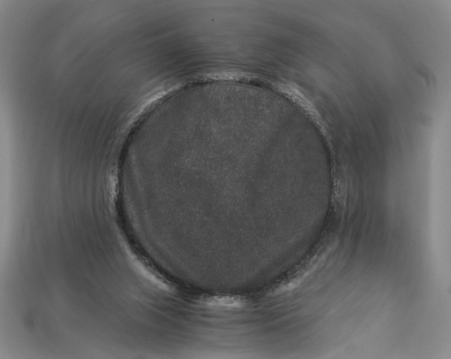 X0000112900063200909111534