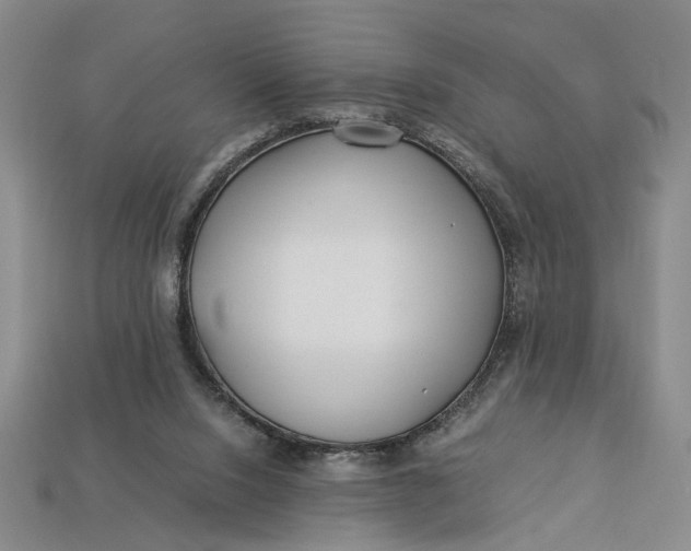 X0000112900064200909111534