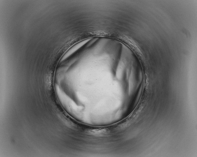 X0000112900065200909111534