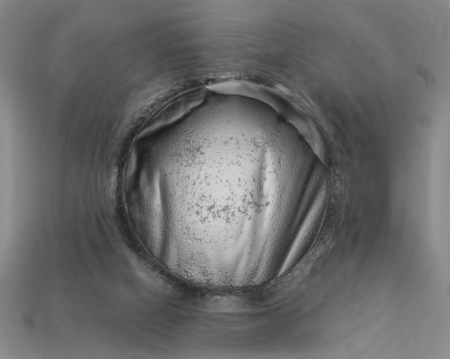 X0000112900066200909111534