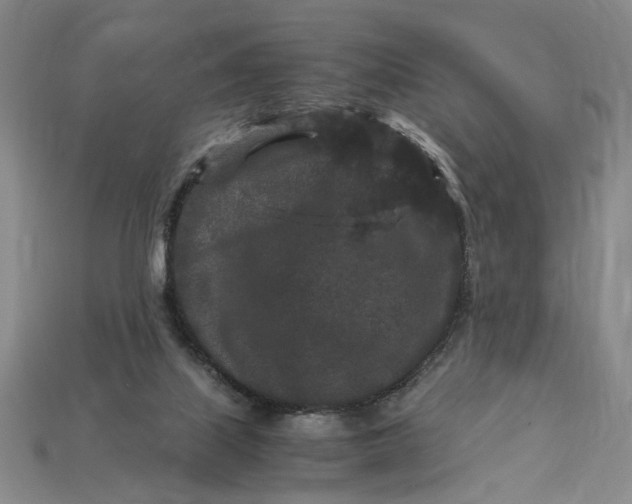 X0000112900067200909111534