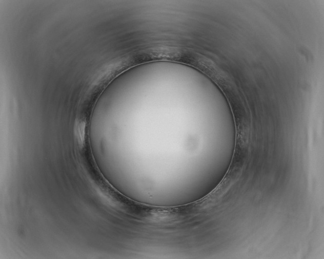 X0000112900070200909111534