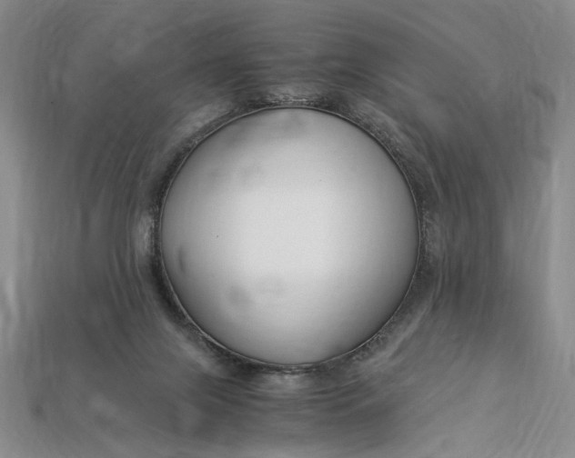 X0000112900071200909111534