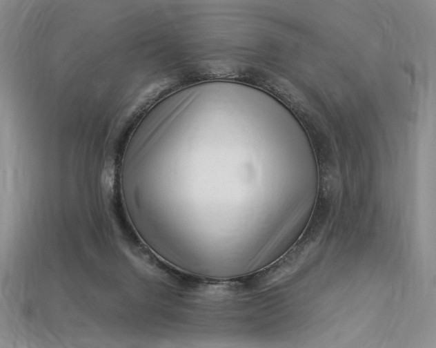 X0000112900072200909111534
