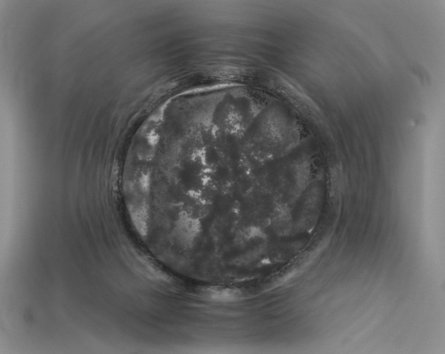 X0000112900073200909111534