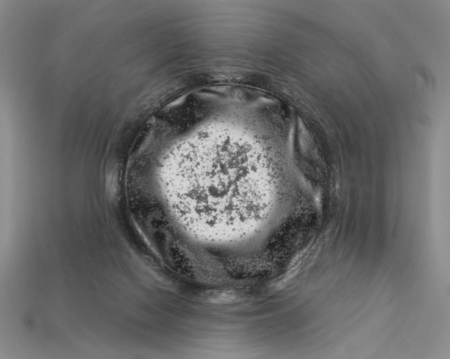 X0000112900074200909111534