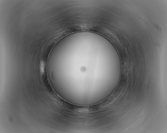 X0000112900075200909111534