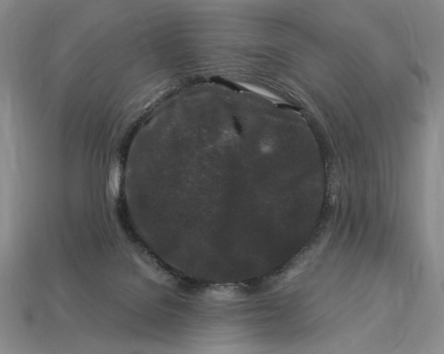 X0000112900076200909111534