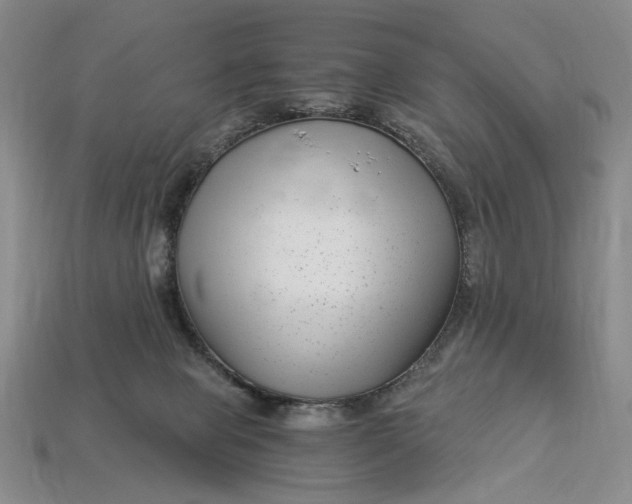 X0000112900077200909111534