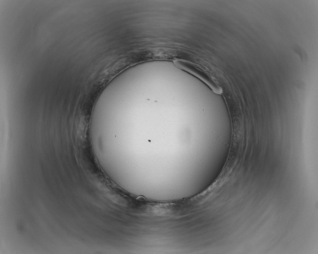 X0000112900078200909111534