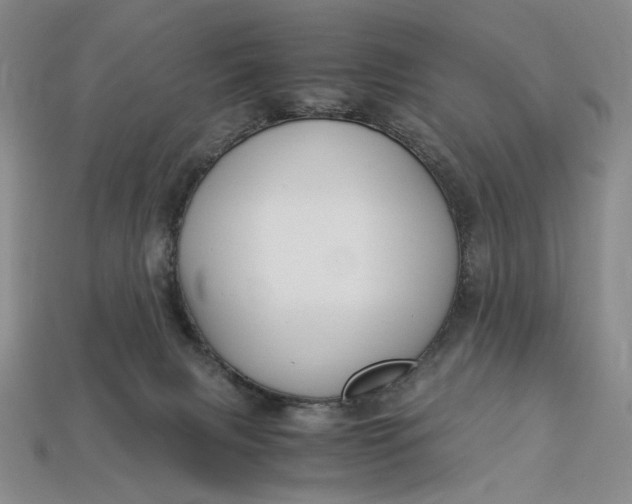 X0000112900079200909111534