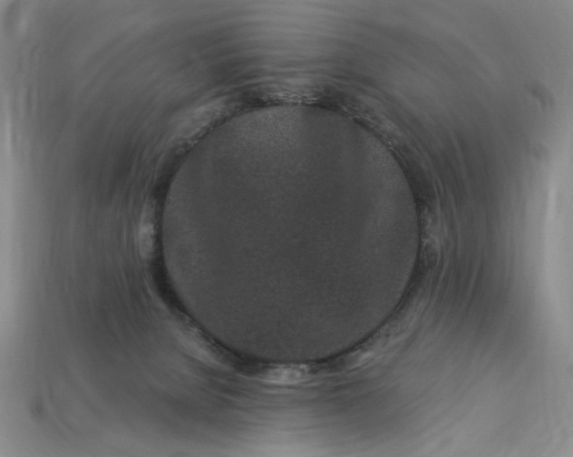 X0000112900080200909111534