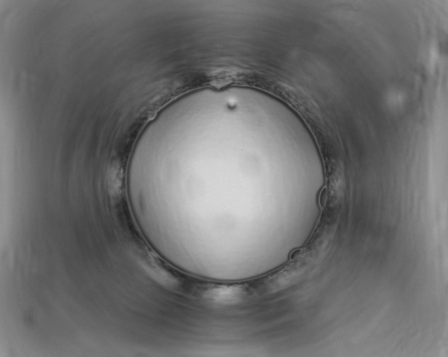 X0000112900081200909111534