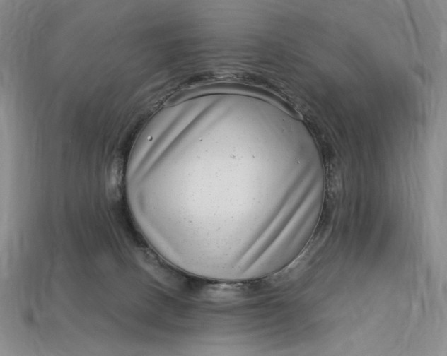 X0000112900082200909111534