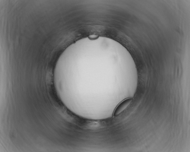 X0000112900083200909111534