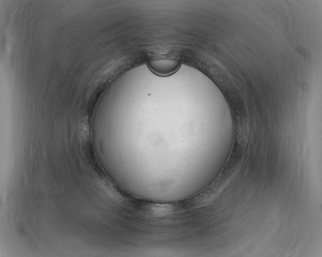 X0000112900085200909111534