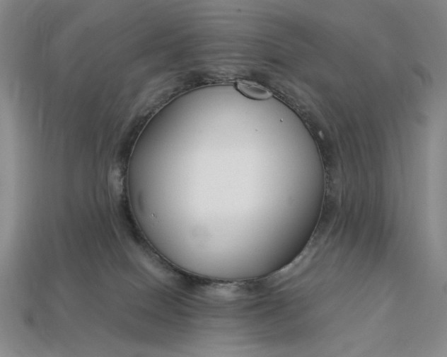 X0000112900086200909111534