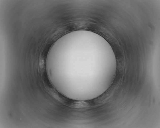 X0000112900087200909111534